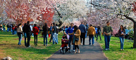 Essex County Parks Foundation